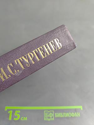Сочинения. Том седьмой. Отцы и дети. Повести и рассказы. Дым