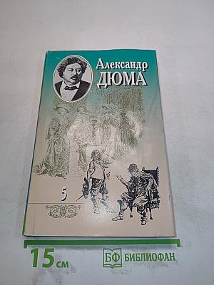 Виконт де Бражелон, или Десять лет спустя. Том пятый. Часть первая