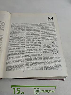 Большая Советская Энциклопедия. Том 16