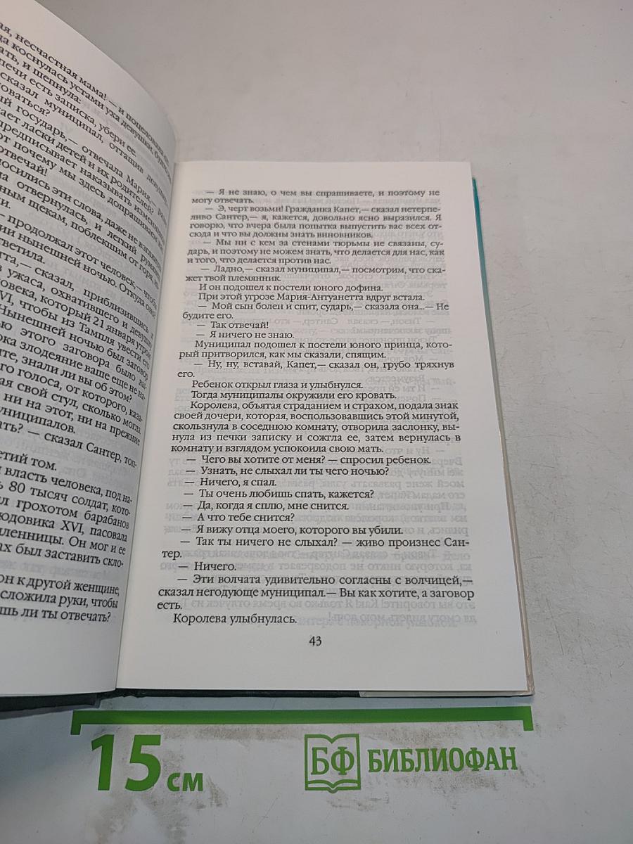 Собрание сочинений. Том 20. Кавалер Красного замка