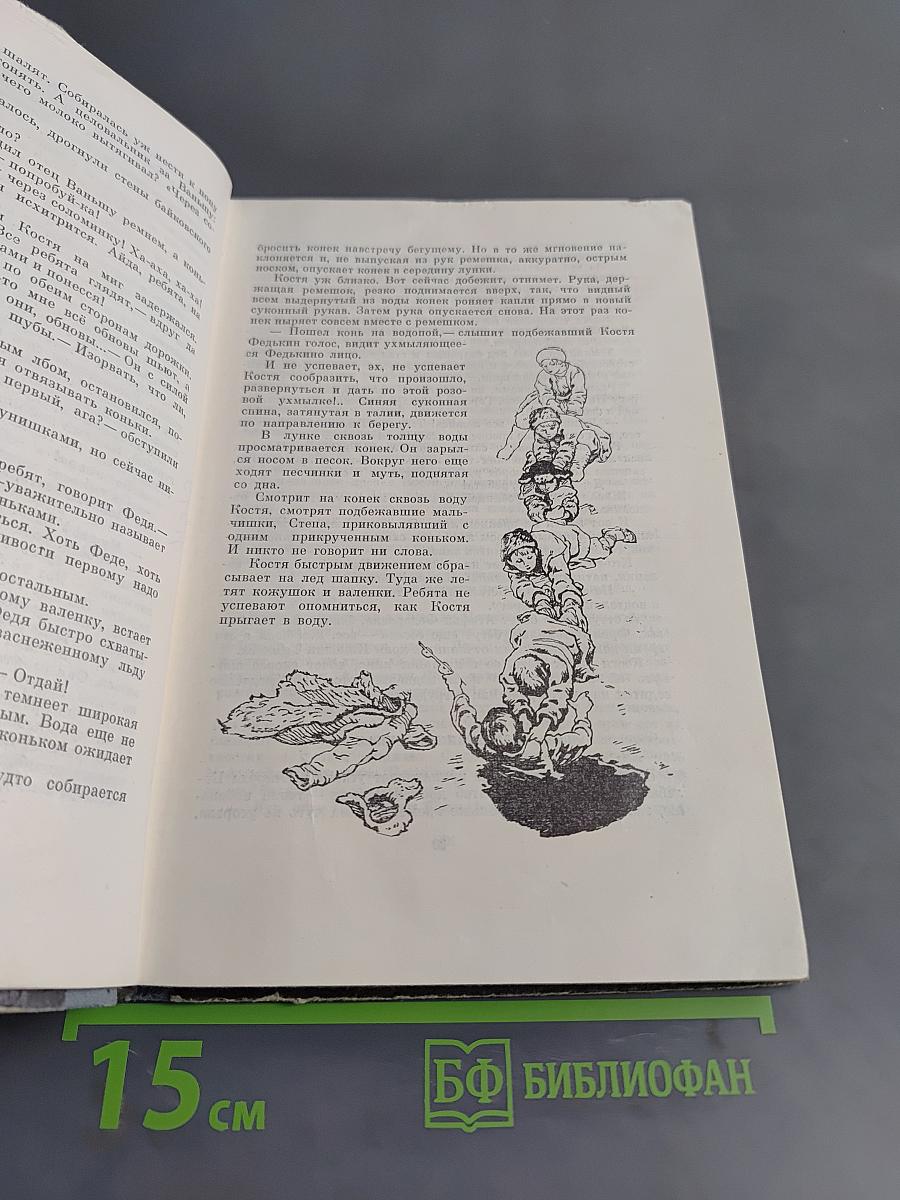 Крестьянский сын