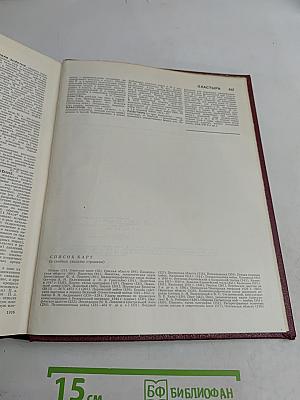 Большая советская энциклопедия. Том 19. Отоми — Пластырь