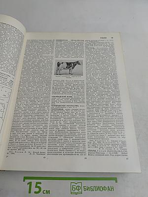 Большая Советская Энциклопедия. Том 7. Гоголь — Дебит