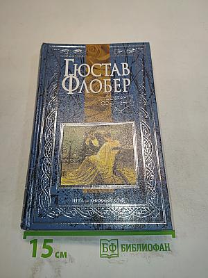 Воспитание чувств. Том 3