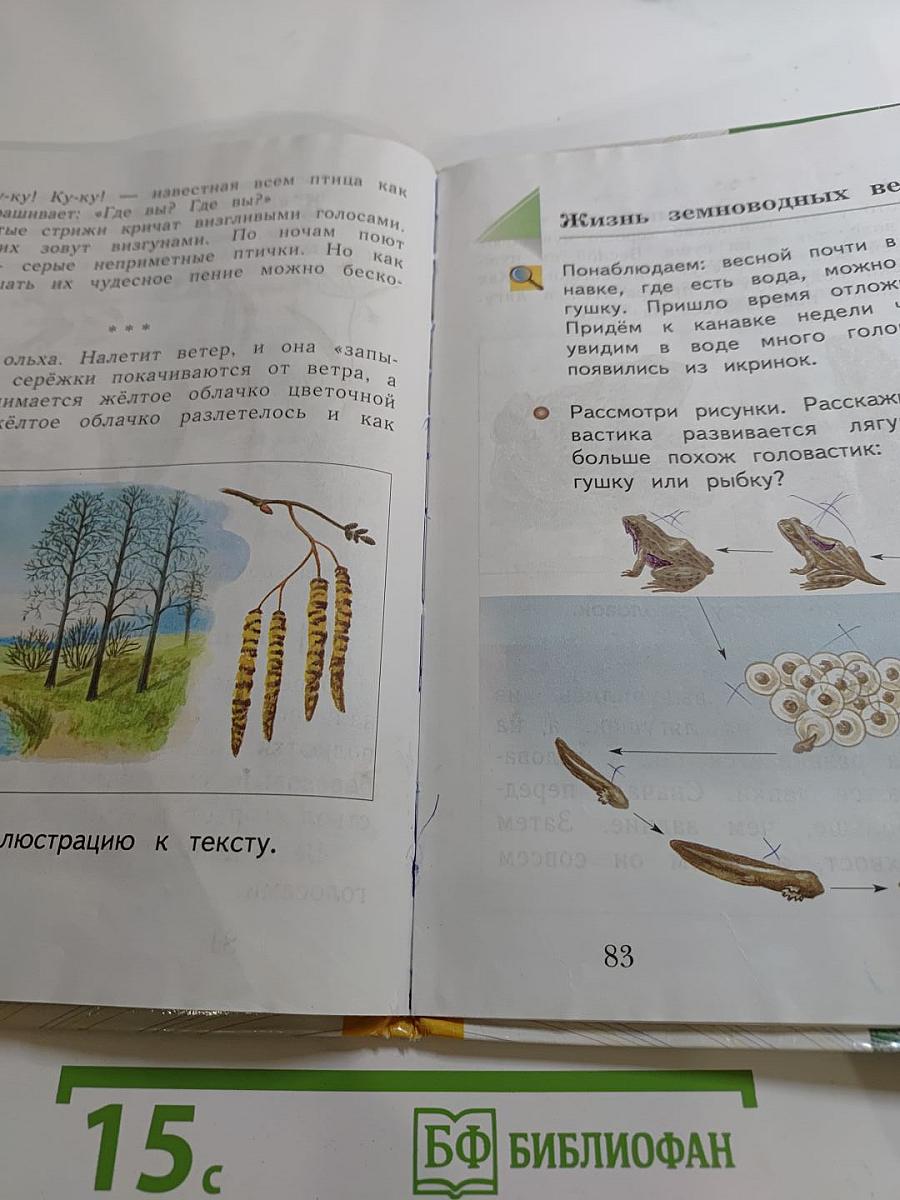 Окружающий мир 1 класс Часть вторая
