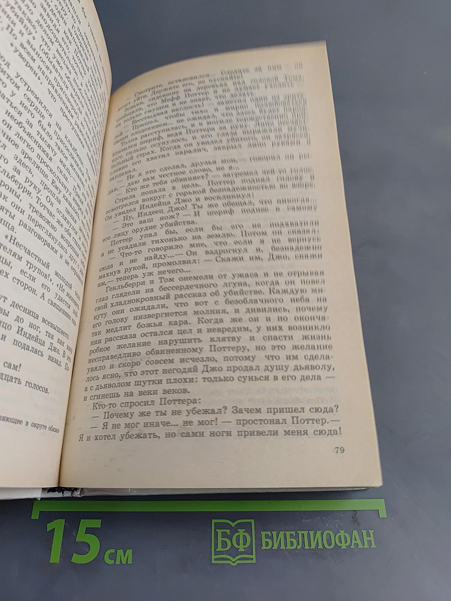 Приключения Тома Сойера и Гекльберри Финна