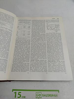 Большая Советская Энциклопедия. Том 6