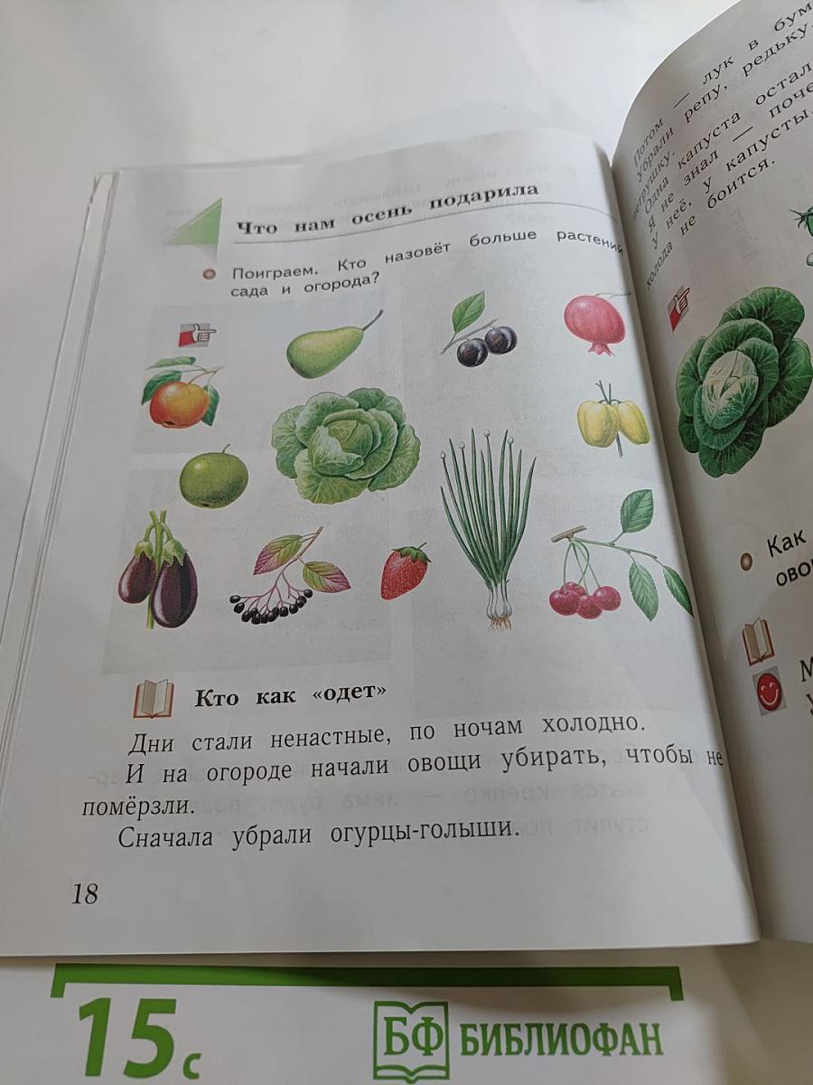 Окружающий мир. 1 класс. Часть первая
