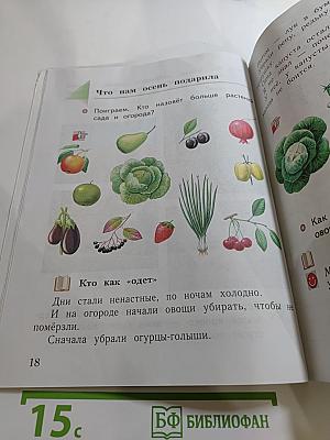Окружающий мир. 1 класс. Часть первая