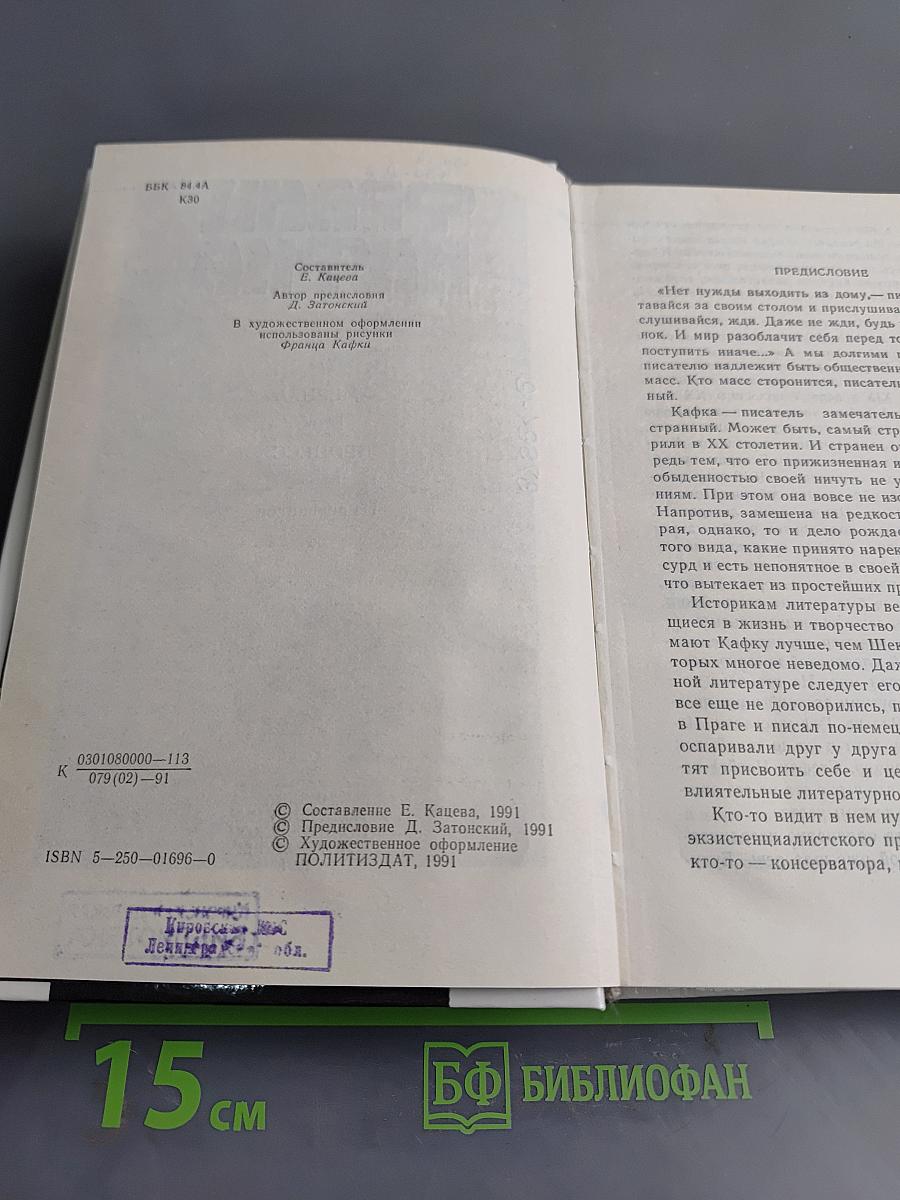 Америка. Процесс. Из дневников