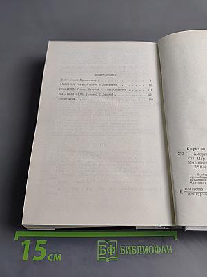 Америка. Процесс. Из дневников