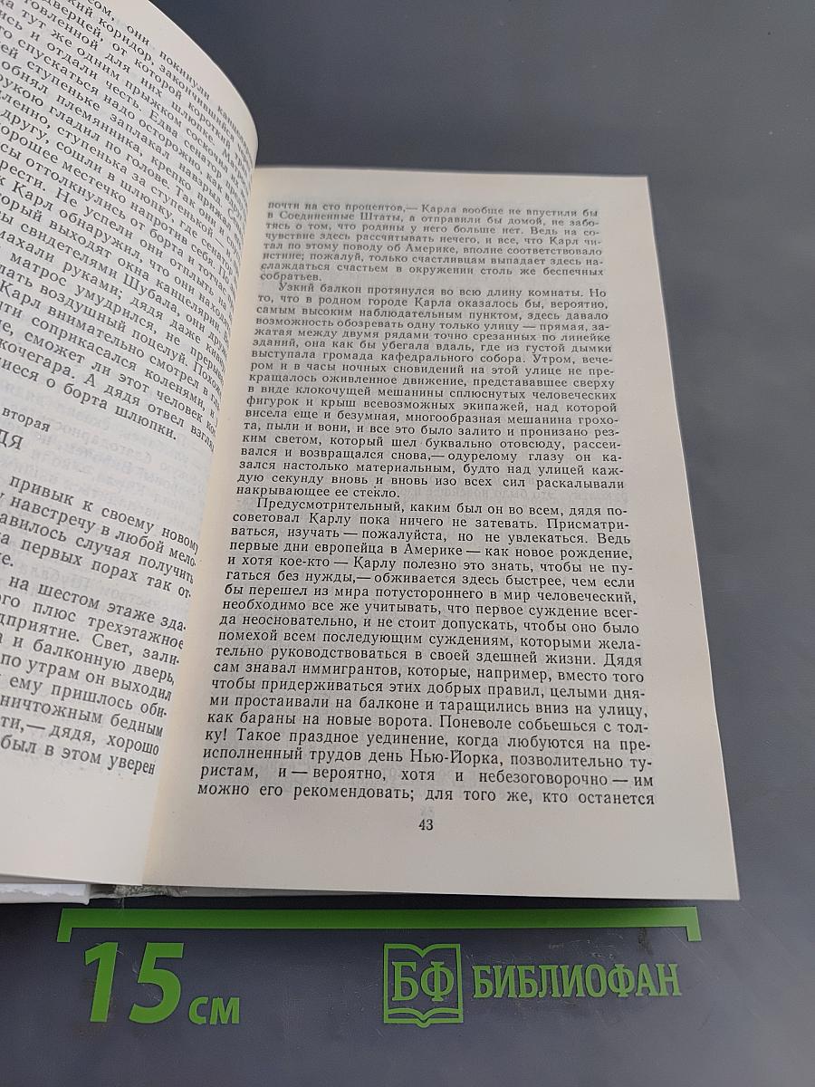 Америка. Процесс. Из дневников