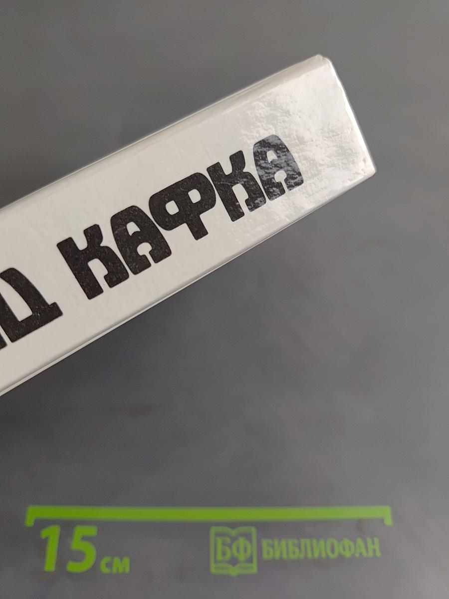 Америка. Процесс. Из дневников