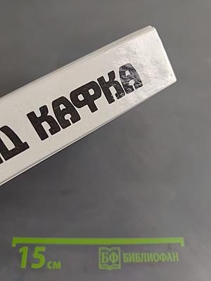 Америка. Процесс. Из дневников