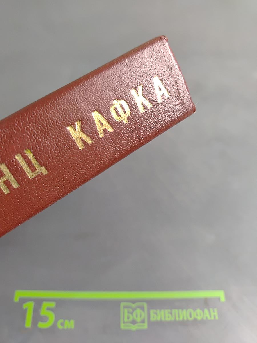 Франц Кафка. Процесс. Замок. Новеллы и притчи. Из дневников