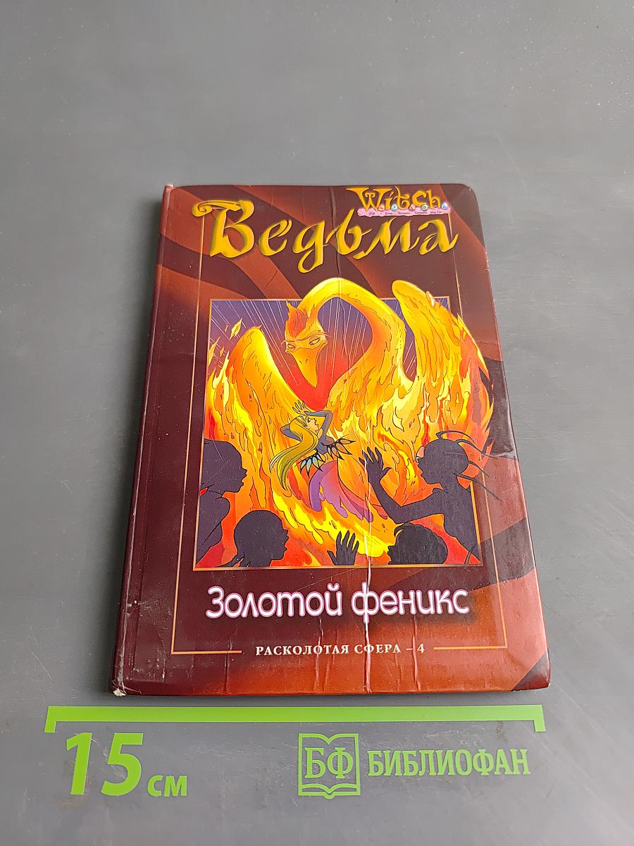 Ведьма. Золотой феникс. Расколотая сфера - 4