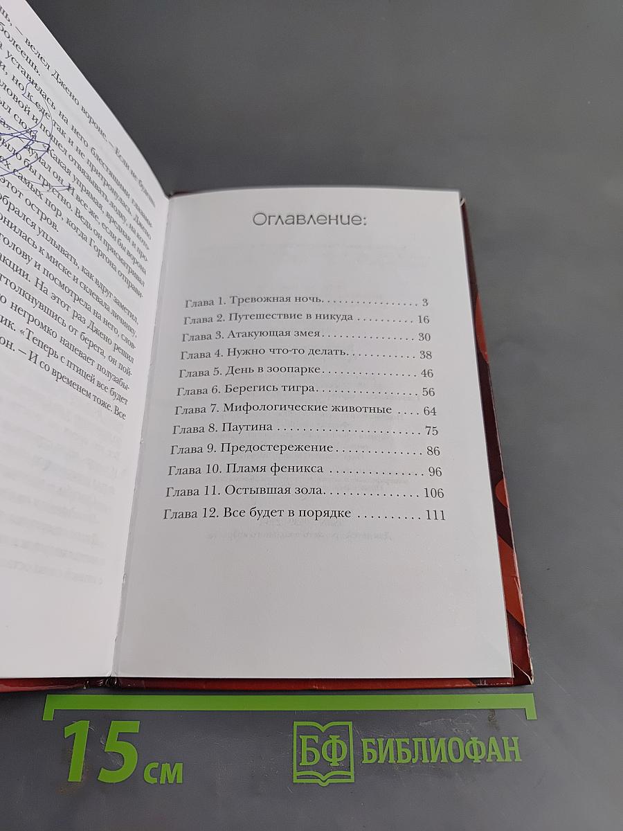 Ведьма. Золотой феникс. Расколотая сфера - 4