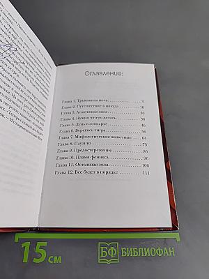 Ведьма. Золотой феникс. Расколотая сфера - 4