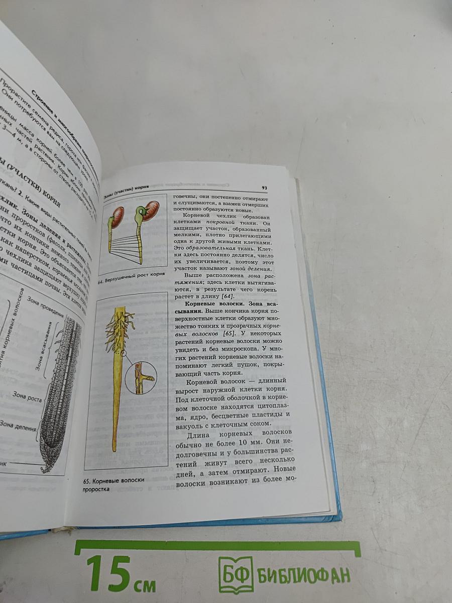 Биология. Бактерии, грибы, растения. Учебник для 6 класса
