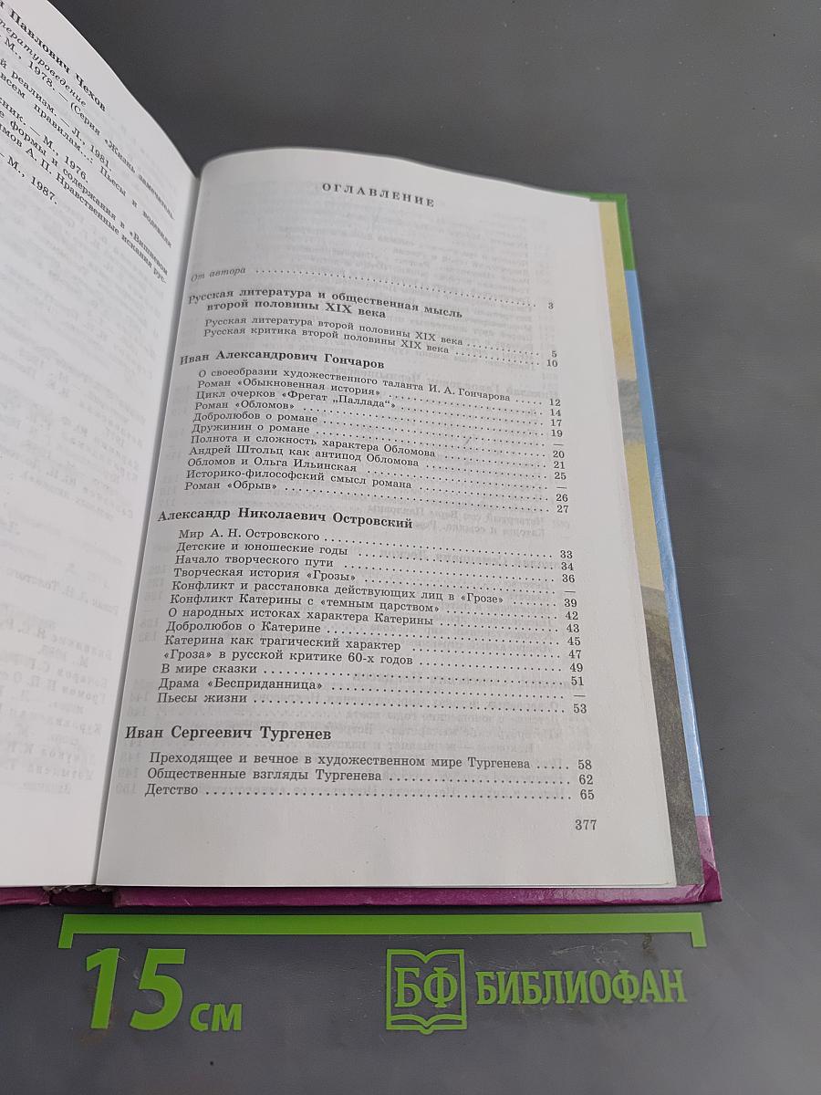 Русская литература XIX века. Часть вторая. Учебник для общеобразовательных учреждений. 10 класс
