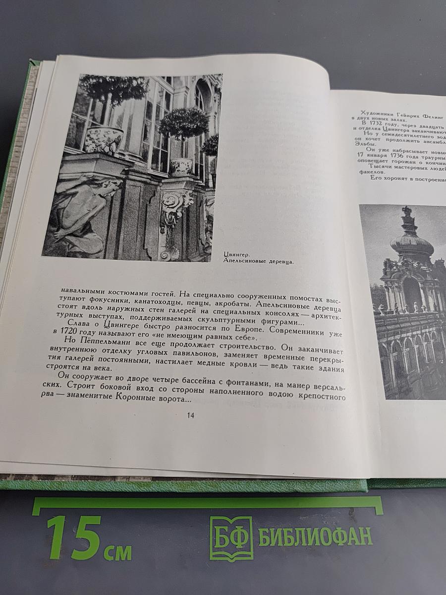 Семь дней. Зеленое дерево жизни