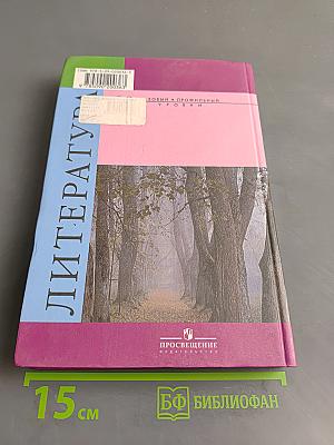 Литература. 10 класс. Учебник для общеобразовательных учреждений. Базовый и профильный уровни. В двух частях. Часть 2