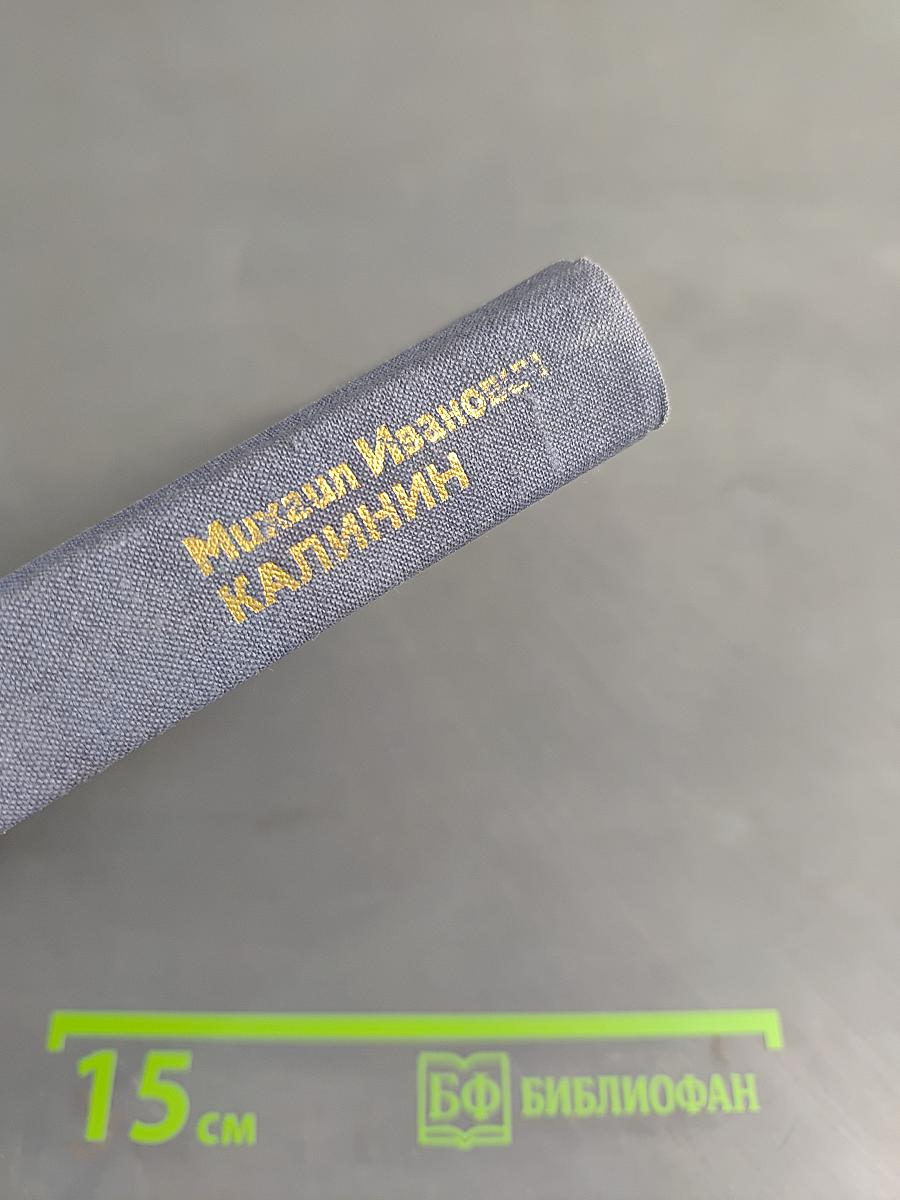 Михаил Иванович Калинин. Краткая биография