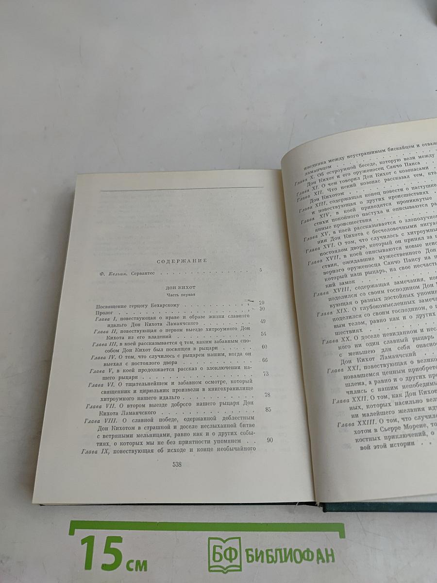 Хитроумный идальго Дон Кихот Ламанчский. Часть первая
