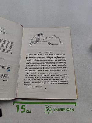 Каркаджу