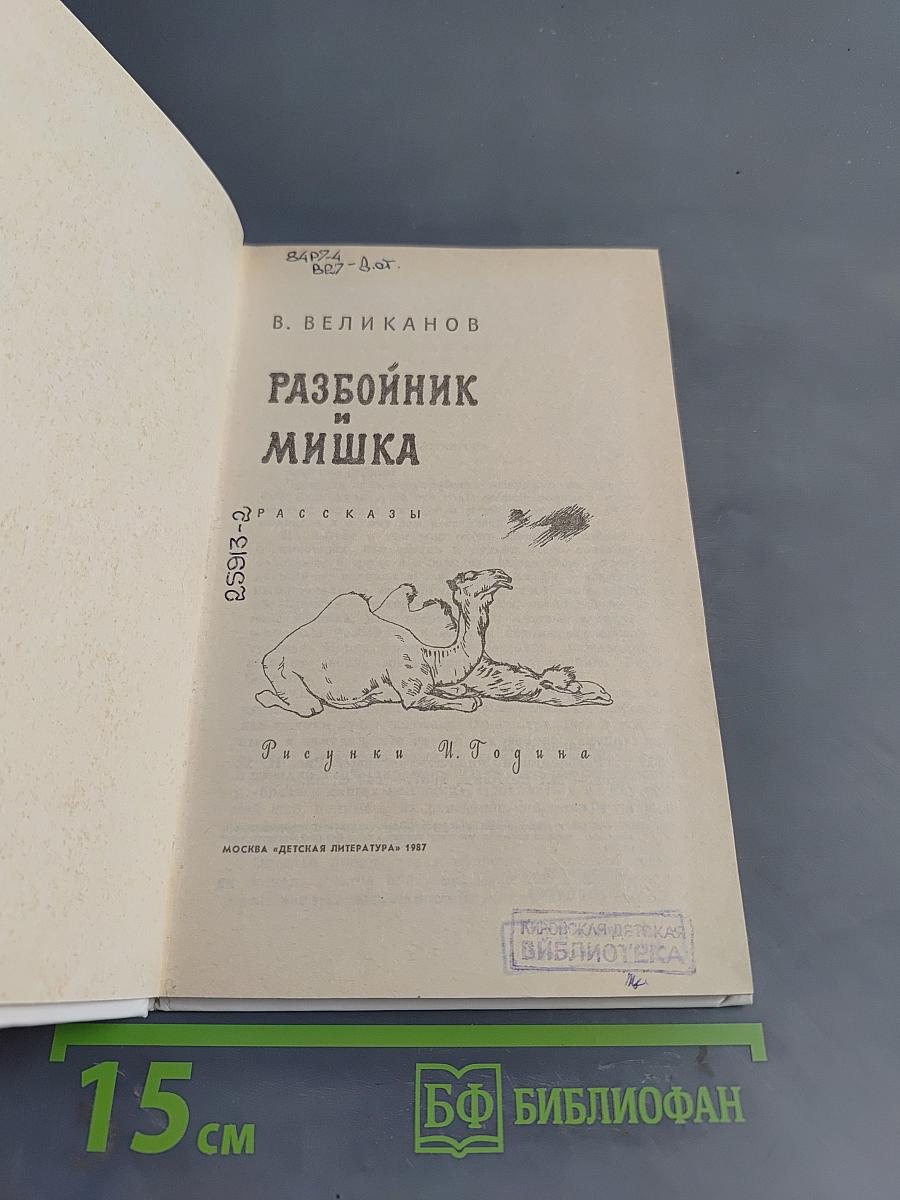 Разбойник и Мишка