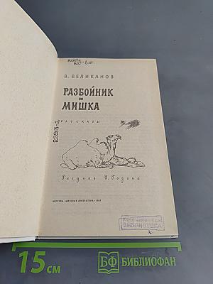 Разбойник и Мишка