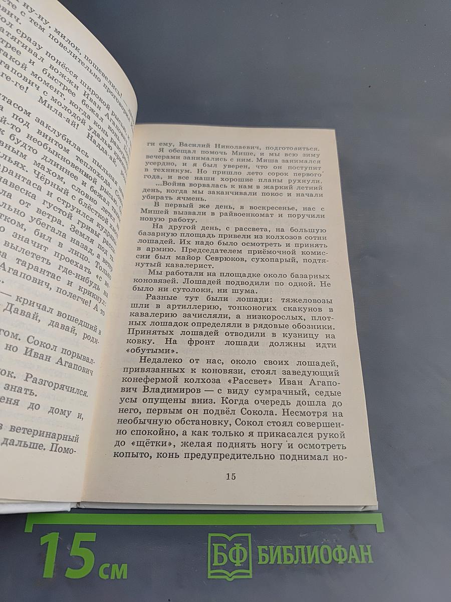 Разбойник и Мишка