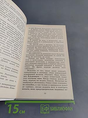 Разбойник и Мишка