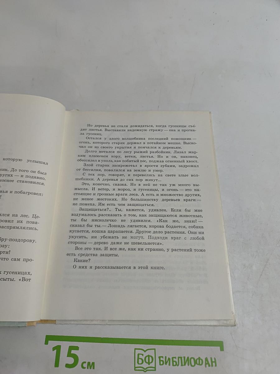 Заколдованное дерево