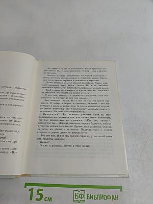 Заколдованное дерево