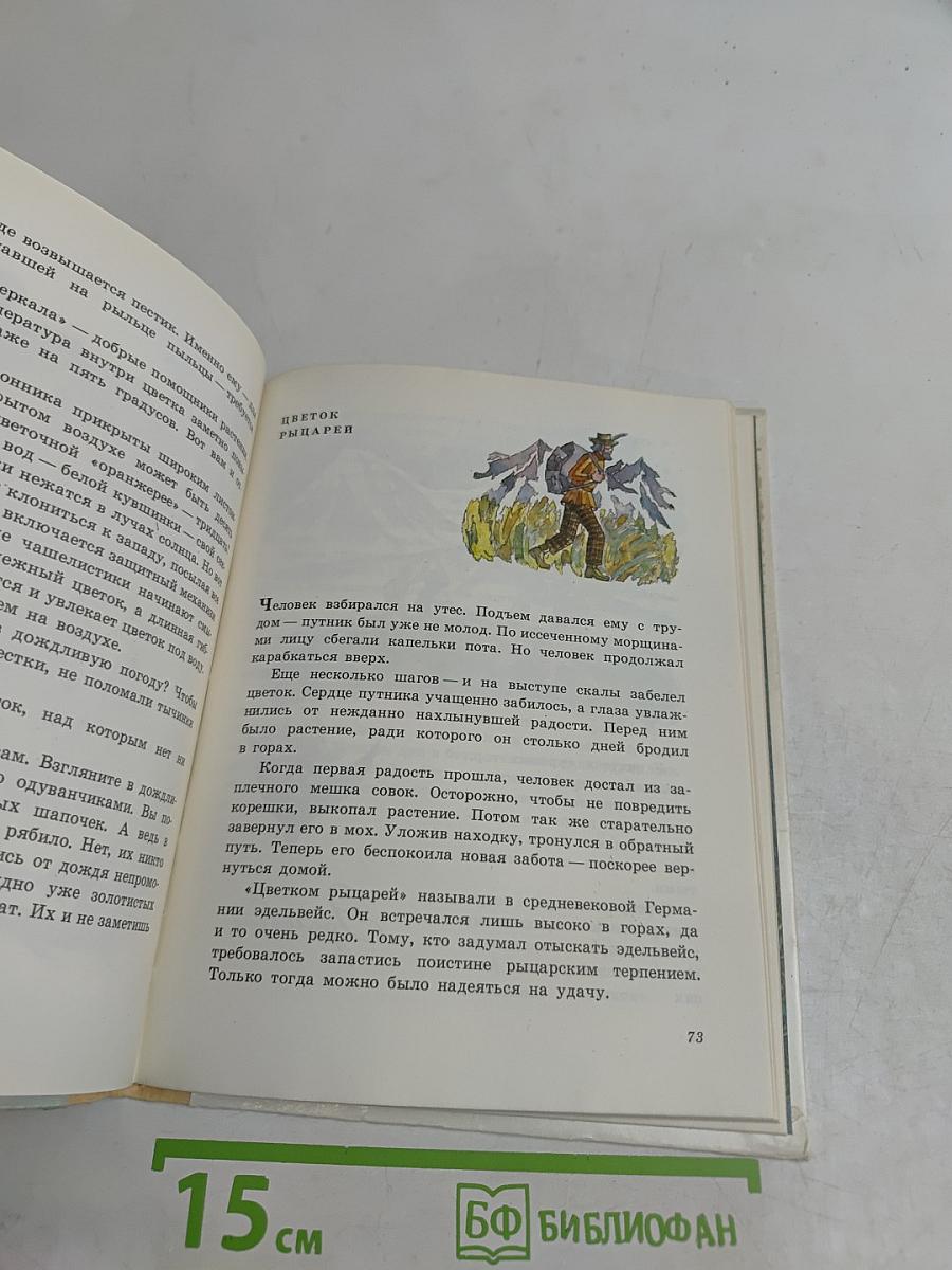 Заколдованное дерево