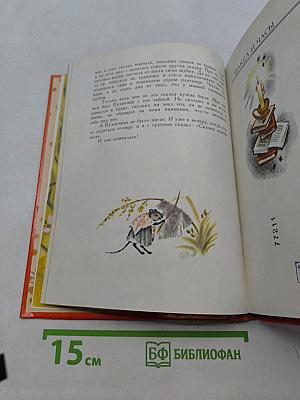 Настоящий тигр