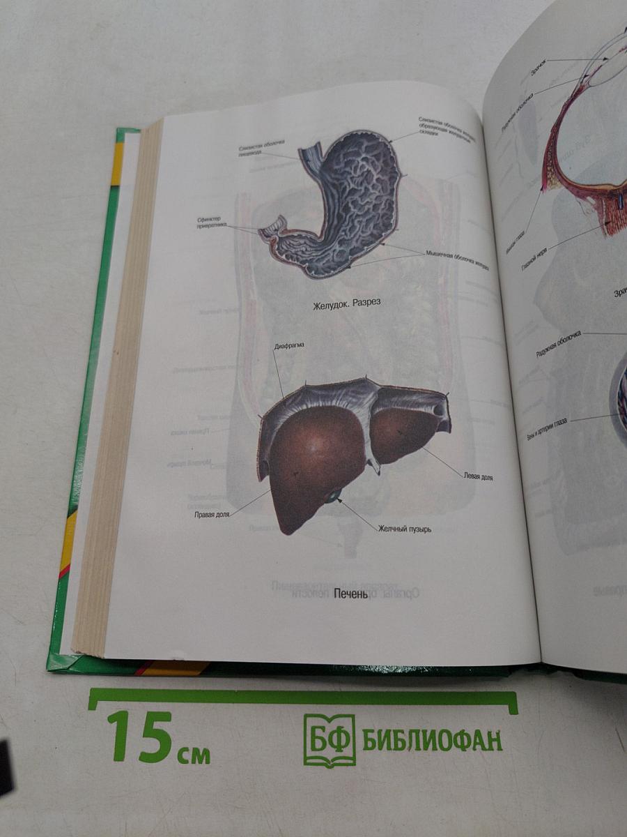 Энциклопедия народной медицины