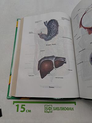 Энциклопедия народной медицины