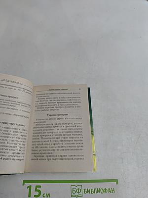 Лучшие салаты и закуски
