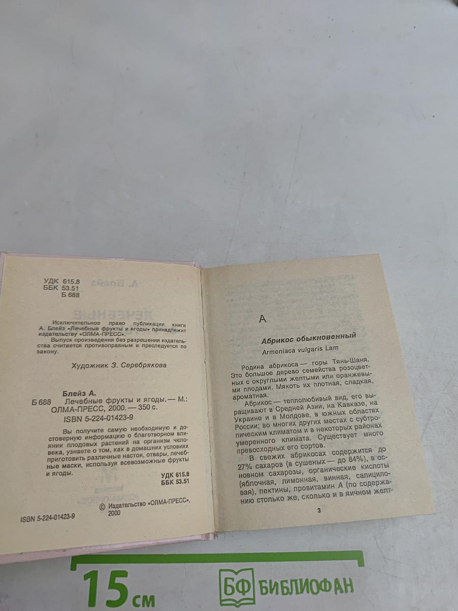 Лечебные фрукты и ягоды