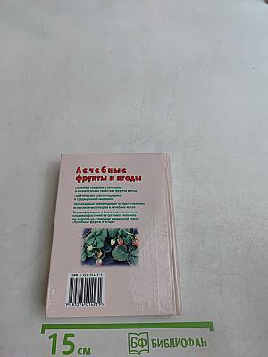 Лечебные фрукты и ягоды