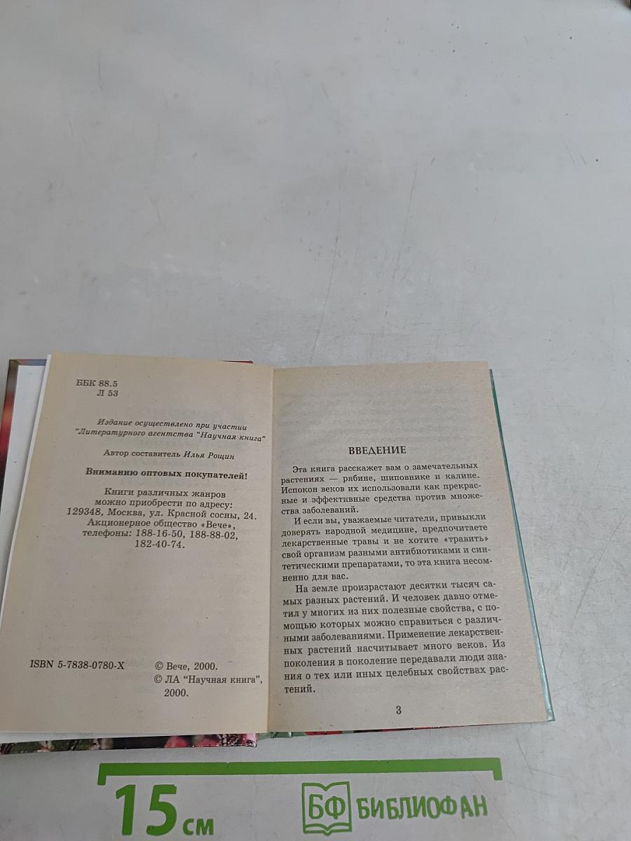 Лечение шиповником, калиной, рябиной