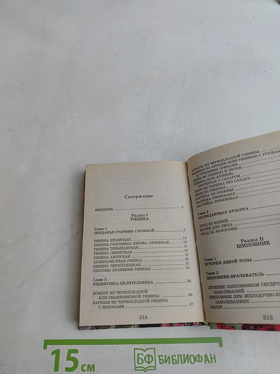 Лечение шиповником, калиной, рябиной