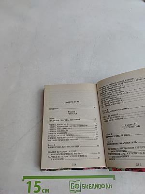 Лечение шиповником, калиной, рябиной