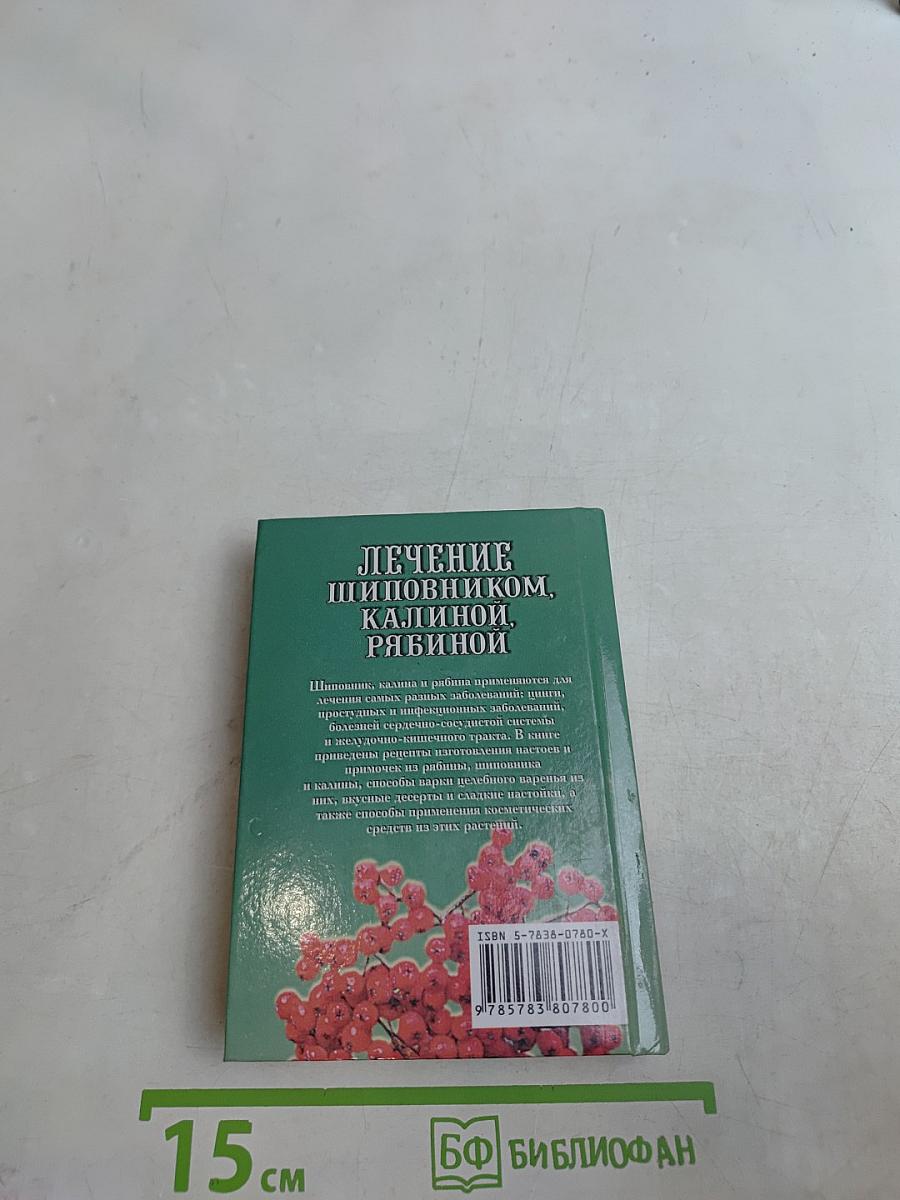 Лечение шиповником, калиной, рябиной