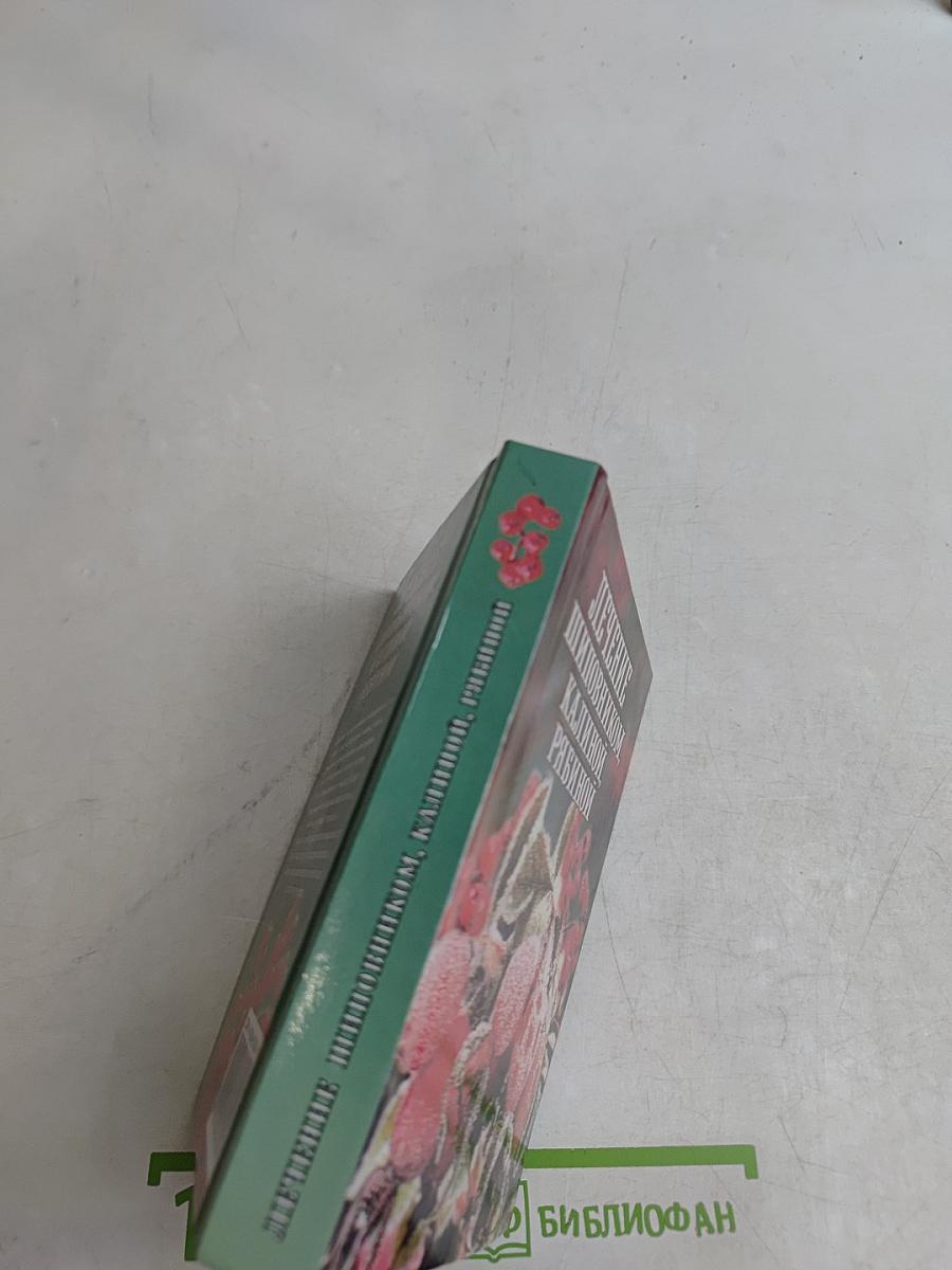Лечение шиповником, калиной, рябиной