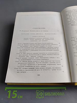 История Тома Джонса, найденыша