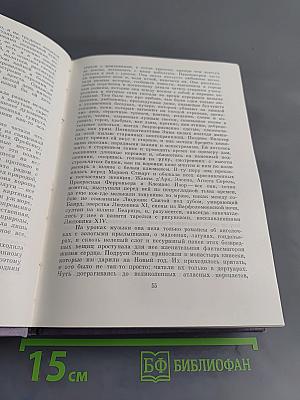 Госпожа Бовари. Воспитание чувств