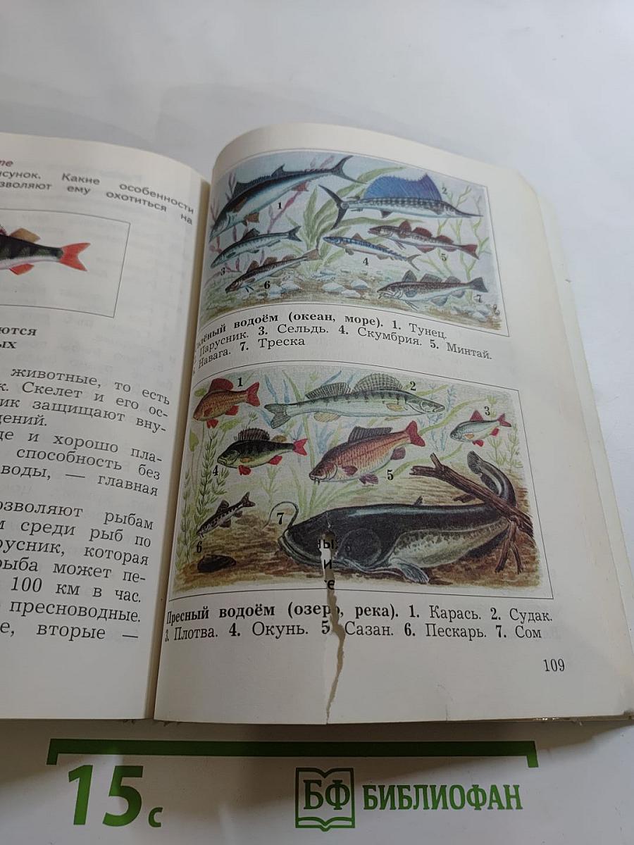 Окружающий мир, 3 класс, Часть первая